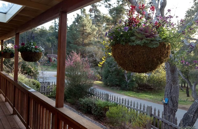 Charming Remodeled Single Level Getaway mit Hotsprings HotTub