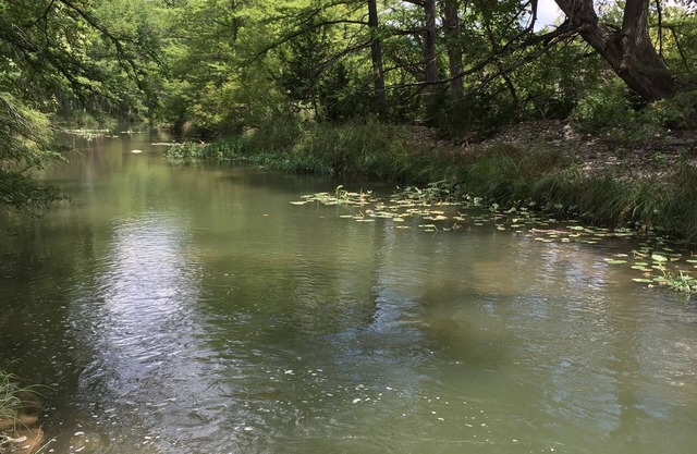 Charmantes Hill Country Home