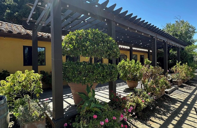 Charming Romantic River Cottage in Lodi Wine and Country