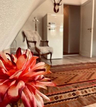 Charming rooftop apartment in Uhre