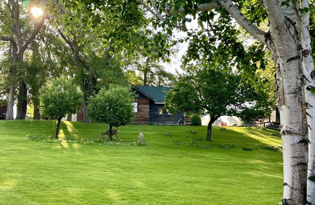 Charming rustic cabin with shared lake access and golf course views.