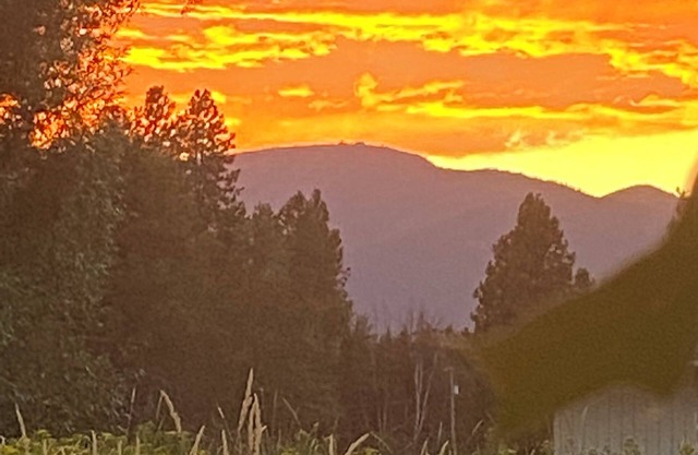 Charming studio in beautiful Sandpoint Idaho.