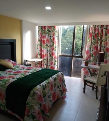Charming sunny bedroom overlooking beautiful Amsterdam Avenue in best Condesa area