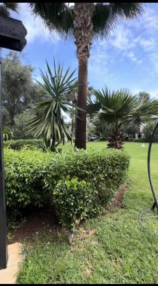 Charming Villa, Breathtaking Garden View
