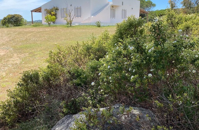 Charmante Villa vor dem Maddalena-Archipel