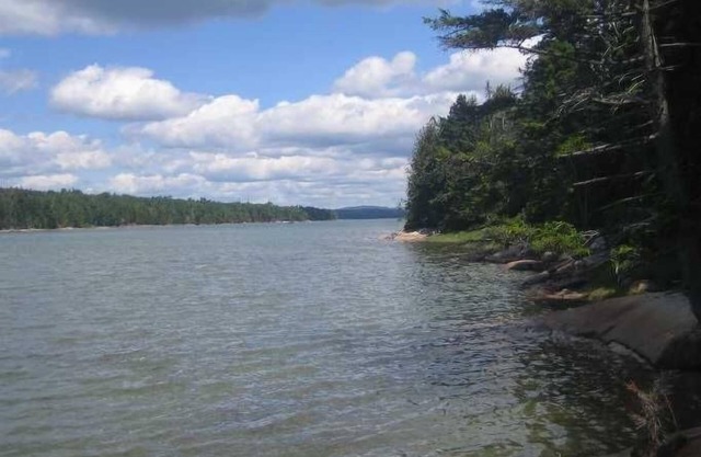 Charmantes Waterfront Cape auf 5 Hektar - Geschützter Lebensraum - Fahrräder und Kajaks Inkl