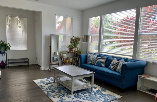 Cheerful 3 bedrooms home near San Francisco