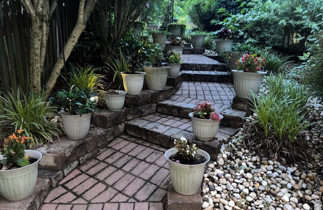 Cheerful1 bedroom basement with separate entrance