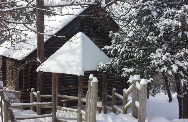 Cherokee mountain log cabin resort