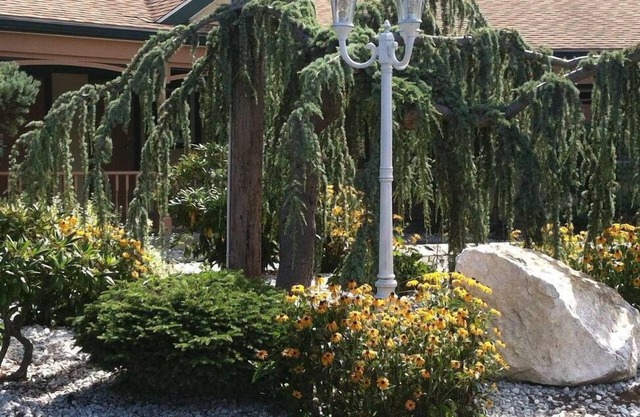 Cheshire Welcome Inn