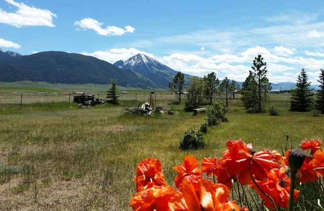 Gemütliche, komfortable Hütte / 5 Minuten zu den heißen Quellen von Chico und 35 Minuten nach Yellowstone