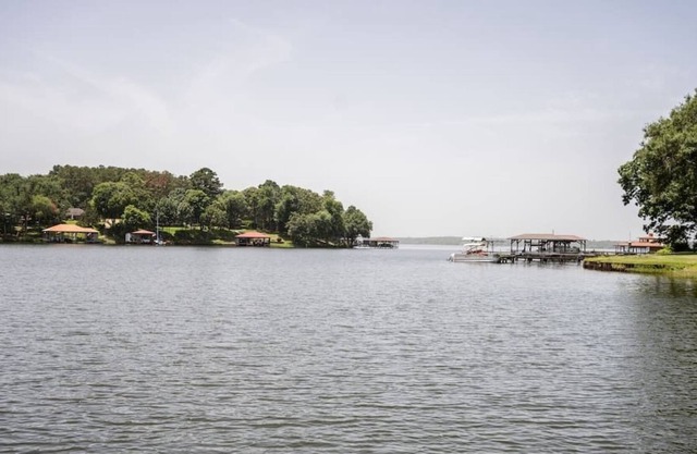 Chimney Pines on Lake Palestine