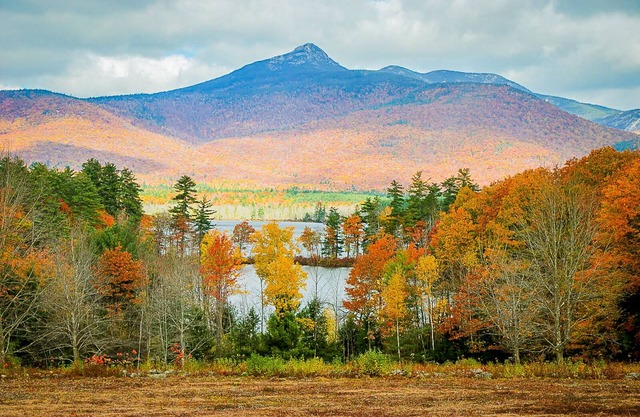 Chocorua Lake * Private Swimming Area * Dog Friendly * Hot Tub