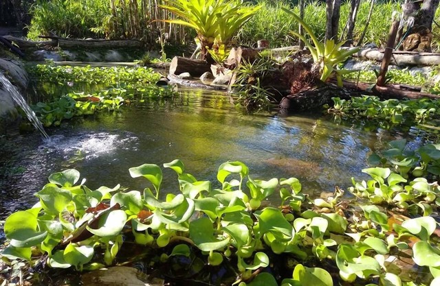 Chosa Manglar Nature Retreat