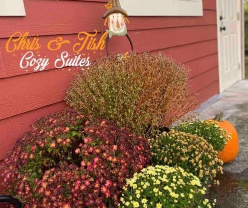 Chris & Tish Cozy Suites B