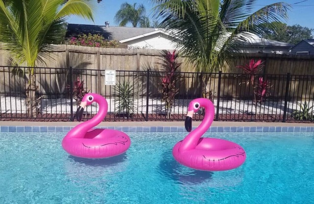 Neu auf dem Markt! Super beheizter Pool! Schließen Sie 2 Siesta, Lido & Downtown