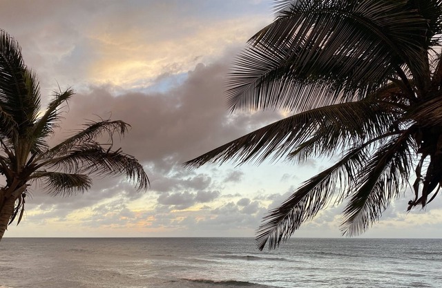 Pet Friendly 3 BR 2 BTH in Isabela, Puerto Rico!