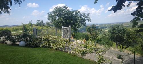CICCI HOUSE