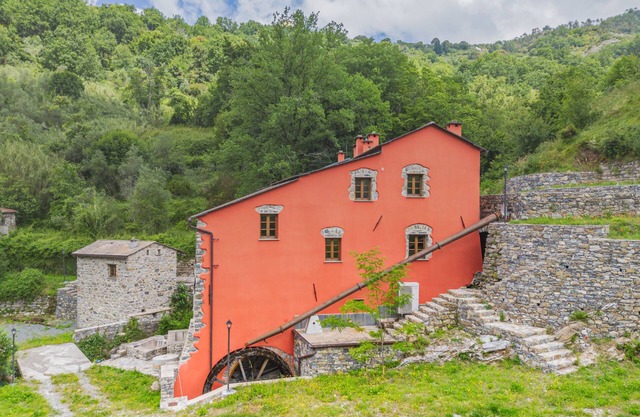 Ciliegiolo by Interhome