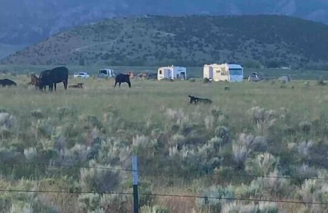City of Rocks Entrance CAMPSITE