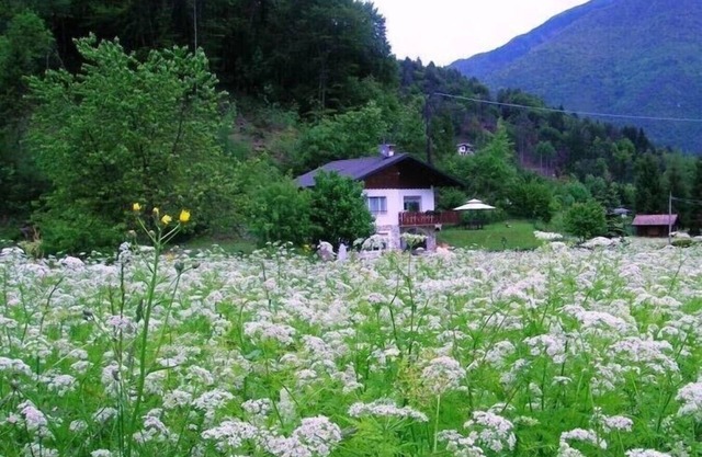 Casa Civettini