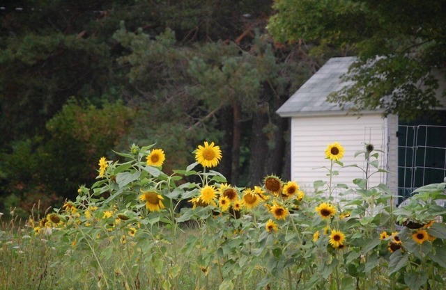 Clary Lake Bed and Breakfast