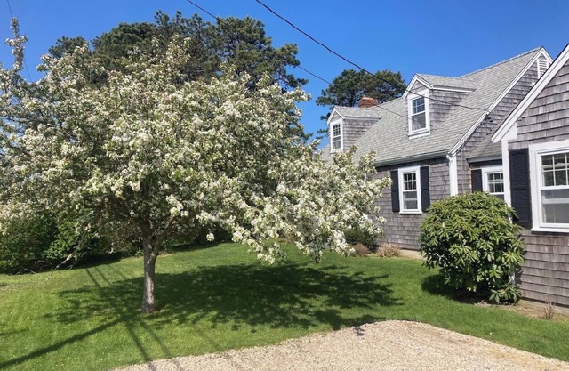 Classic Cape House Walking Distance to the Beach - Many recent upgrades