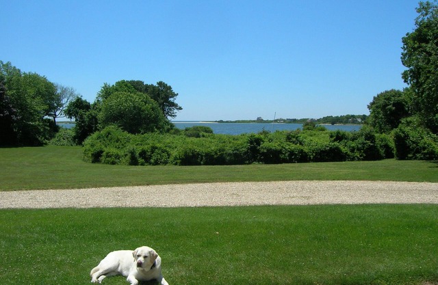 Klassische Hamptons Cottage mit Bootfahren und herrlichem Blick auf das Wasser