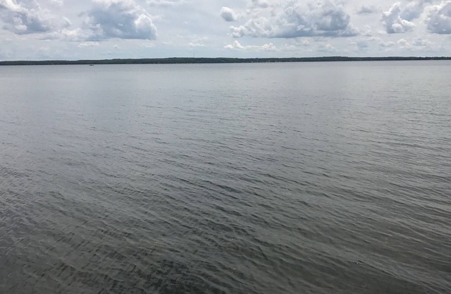 Classic lake cabin on Lake Miltona!