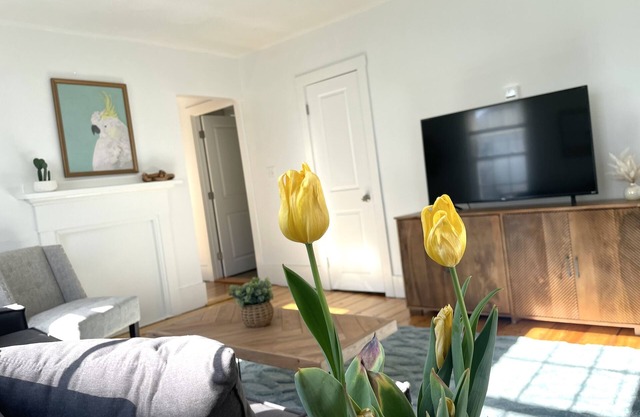 Classic New England 1st Floor 3 BR Downtown Brunswick