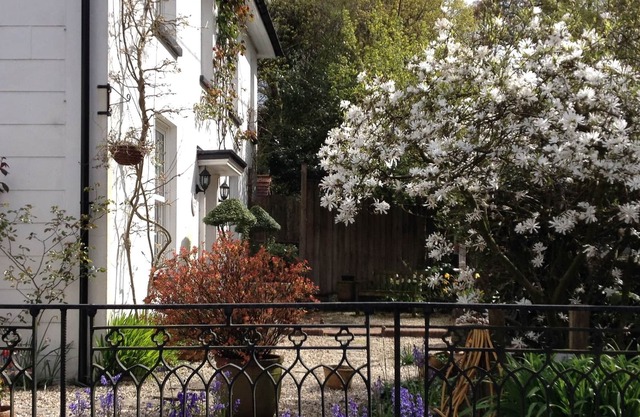 Clayhill House Bed & Breakfast