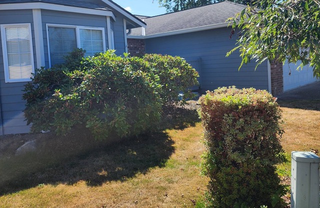 Clean, and Comfortable 3 bedroom House
