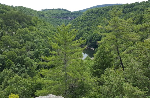 Clear View Retreat: Hütten im Wald in der Nähe von Obed, Catoosa, Crossville und mehr