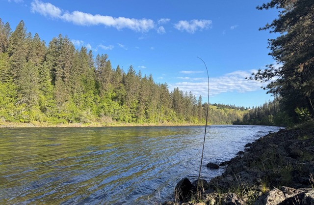 Clearwater B&B Kamiah. World Class Steelhead & Salmon fishing. +2 breakfast.