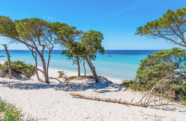 ClickSardegna - Penthouse mit atemberaubendem Meerblick im Herzen von Alghero