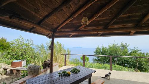 Climb to Paradise Ischia - solo per amanti del trekking