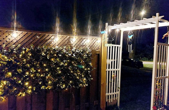 close to beach .high speed wifi,BBQ,firepit. dog friendly.
