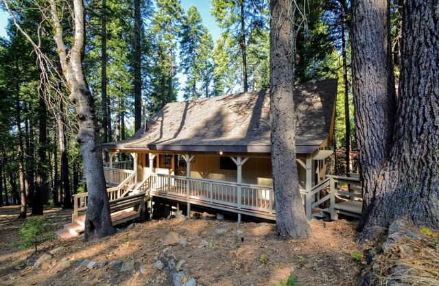 Close to Bear Valley Ski Resort, Big Trees State Park, Hiking trails, and Lakes.