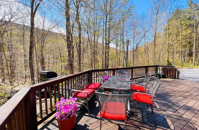 Close to Phoenicia, Woodstock Brewery, Belleayre, Mountain View, Backyard Stream