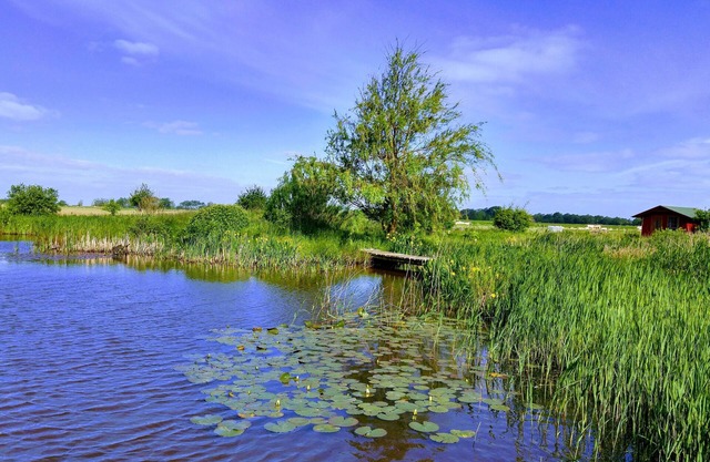 Sylt-Nähe - Ruhe und Natur - Ferien am Biotop - Fahrräder kostenlos