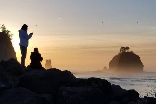 Closest to Olympic National Park