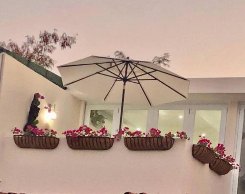 Club Deportivo del Oeste Long term rent nearby Joyuda, Boqueron