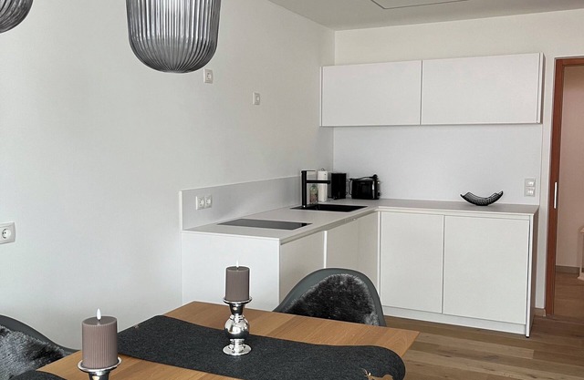 Gemütliches Appartement mit großer Terrasse in Gehminuten zum Schilift