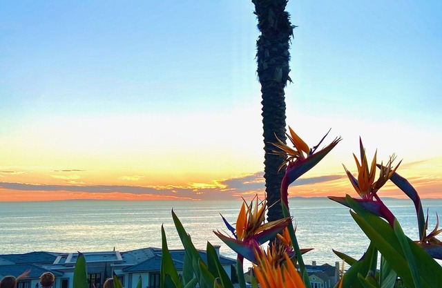 Coastal Getaway - A Wave From It All