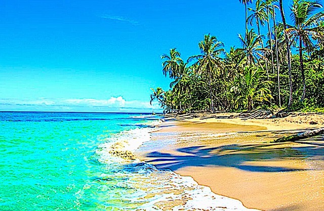 OCEAN VIEW CONDO! DIRECT RENTALS FOR GREAT DEALS! COCO, COSTA RICA.
