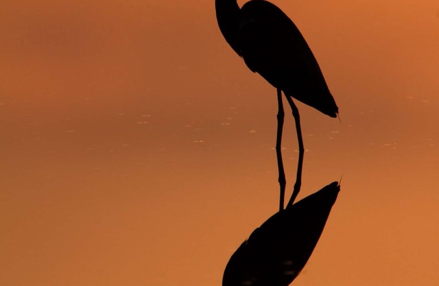 Cocoa Beach Direct Oceanfront, 3 Schlafzimmer, tolle Lage!