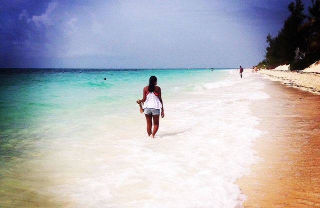 Kokospalme, Freeport Bahamas