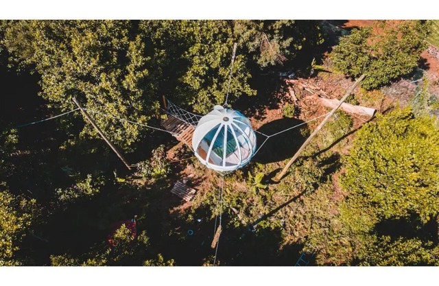 Cocoon- Angra do Heroísmo- Azores