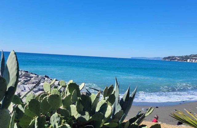 Cogobeach Gioiello #50mt dal mare#