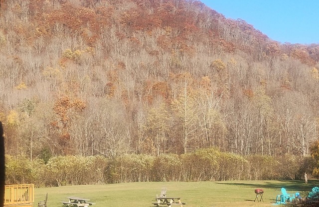 Cold Spring Lodge - Cabin 6